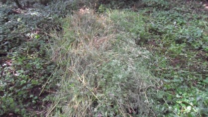 mtelas d'herbes
