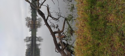 IMG_20221209_120033.jpg