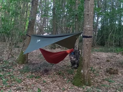 20230716_065247.jpg