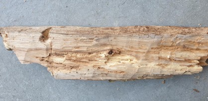 Planche feu friction.jpg