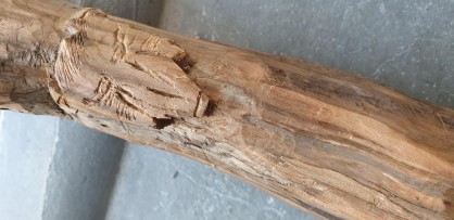 Wood spirit1.jpg