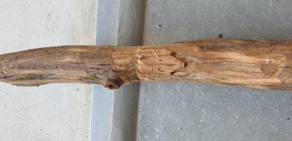 Wood spirit2.jpg
