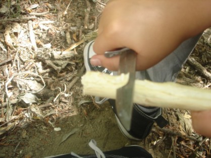 mora