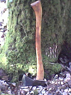 hache en forêt.jpg