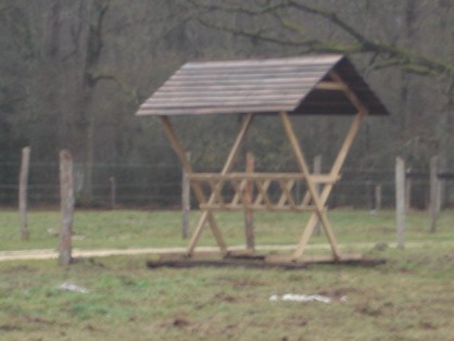 09_05_2010 024.jpg