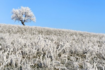 Un hiver dans le Lot