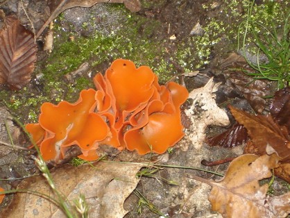 09_05_2010 004.jpg