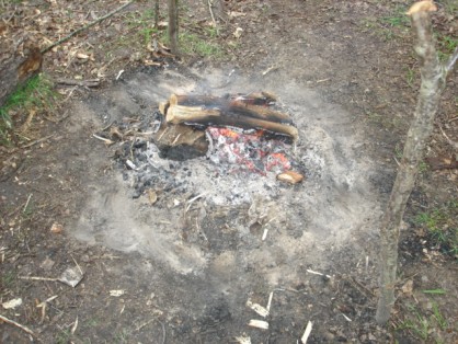 Photo 043.jpg