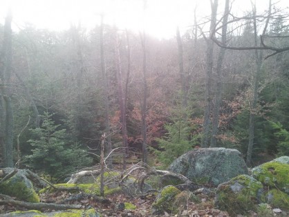 2014-01-03 13.14.58.jpg