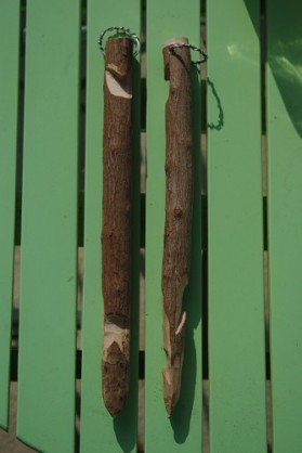 Piquets.JPG