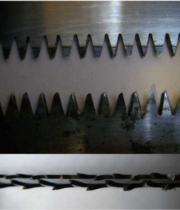 Egoines_detail_dents.jpg