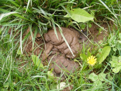 DSCF7758.JPG