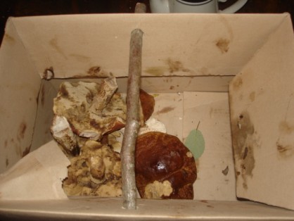 DSC05462.JPG