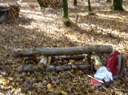 camp 4  en forêt