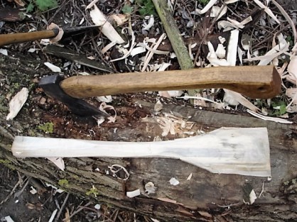DSC05790.JPG (159.65 Kio) Vu 3329 fois spatule 2