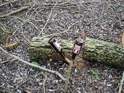 totem à pochtronus