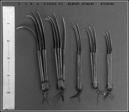 Current+blades+2009_DSC7424+copy.jpg
