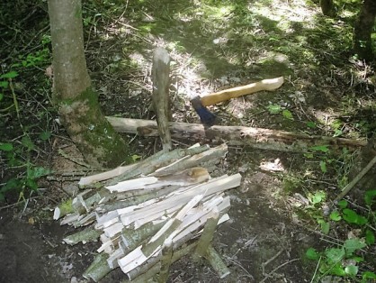 DSC06082.JPG (183.87 Kio) Vu 3171 fois le tas de bois et billot