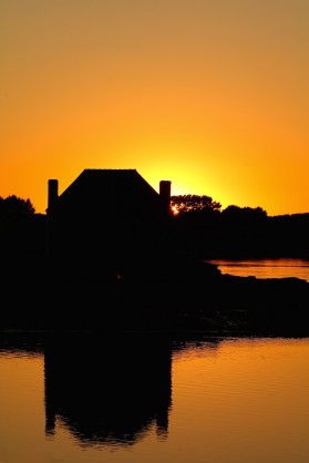 IMG_0190.jpg