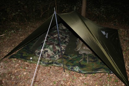 IMG_2313.jpg