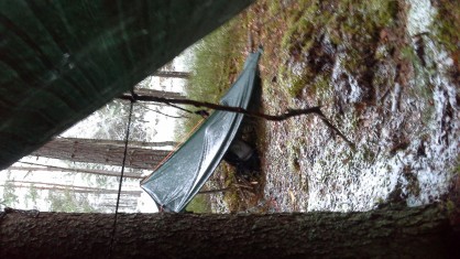 20161210_094949.jpg