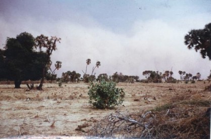Tempête 1.jpg