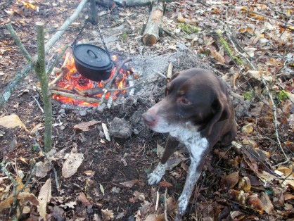 gamelle de légende! et chien légendaire!
