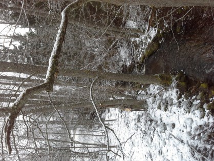 20170304_162947.jpg
