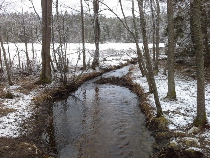 20170304_163737.jpg