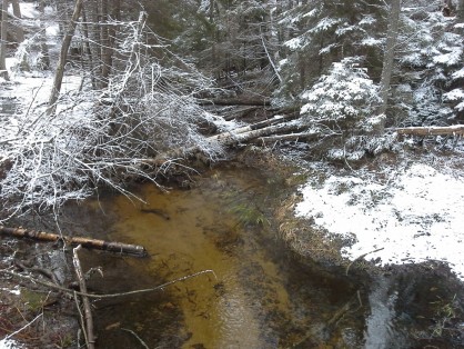 20170304_163743.jpg