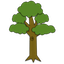 Arbre 64.png