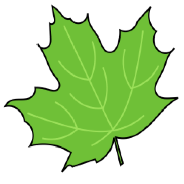 feuille.png