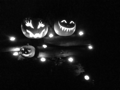 photo noir et blanc2.jpg