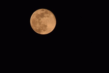 DSC_0038.JPG