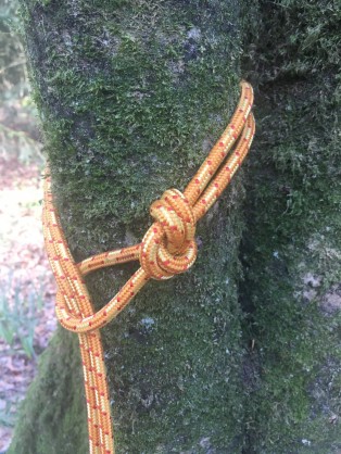 Plein poing.jpg