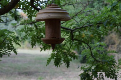 DSC_0086.JPG