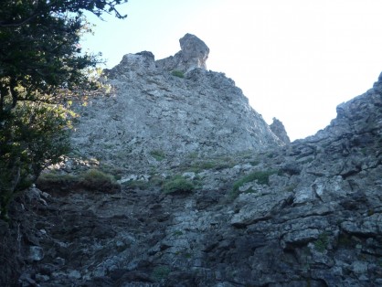 P1040143.JPG