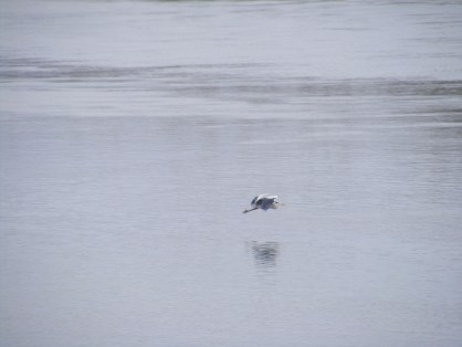 DSCF7586.JPG