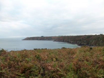 100_5957.JPG