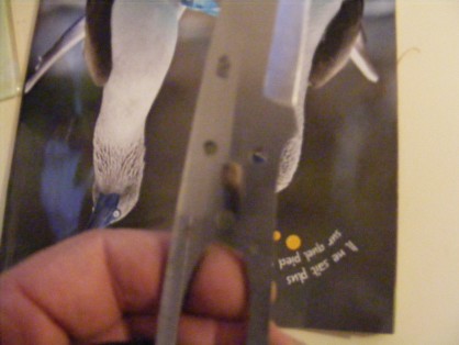 DSCF7644.JPG