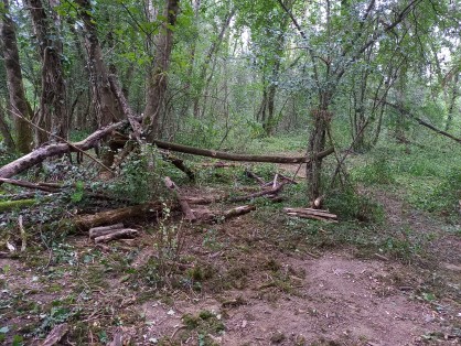20210829_162605.jpg