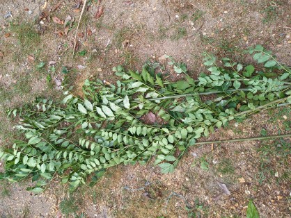 20210915_172840.jpg