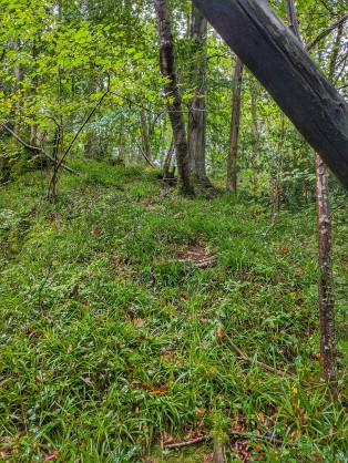1.jpeg