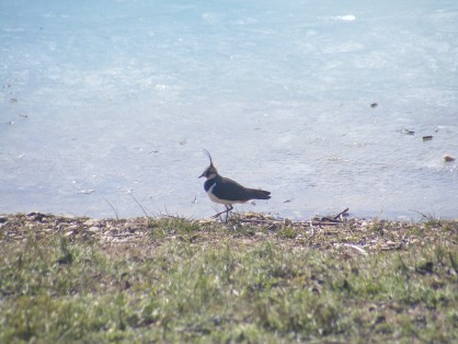 DSCF7858.JPG