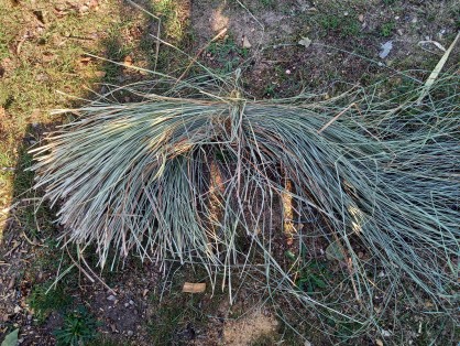 20210923_171004.jpg