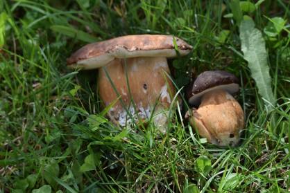 DSC_0358.JPG
