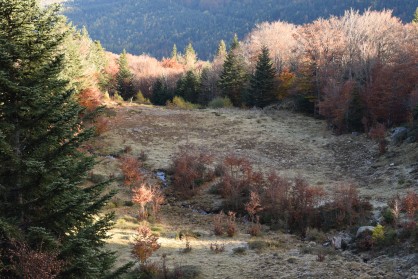 DSC_0101.JPG