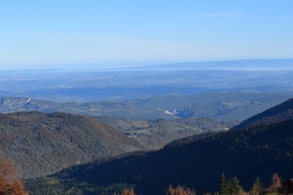 DSC_0104.JPG