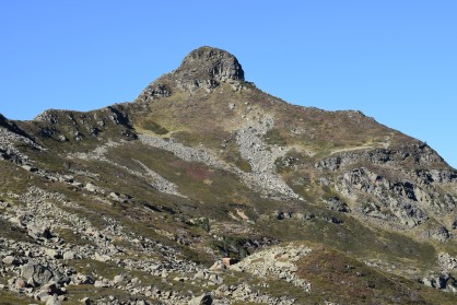 DSC_0121.JPG