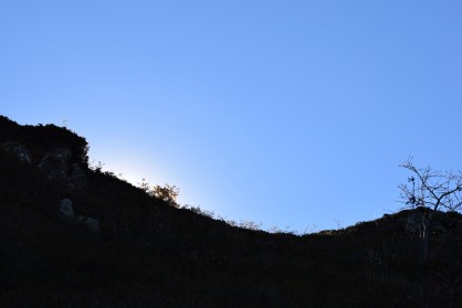 DSC_0127.JPG